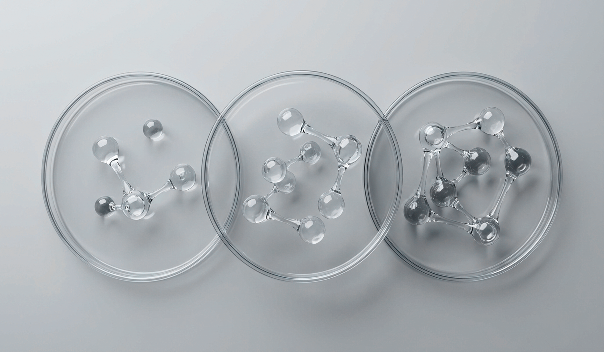 Mitochondries et longévité