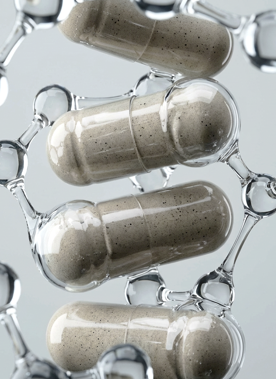 Les leviers biologiques de la longévité