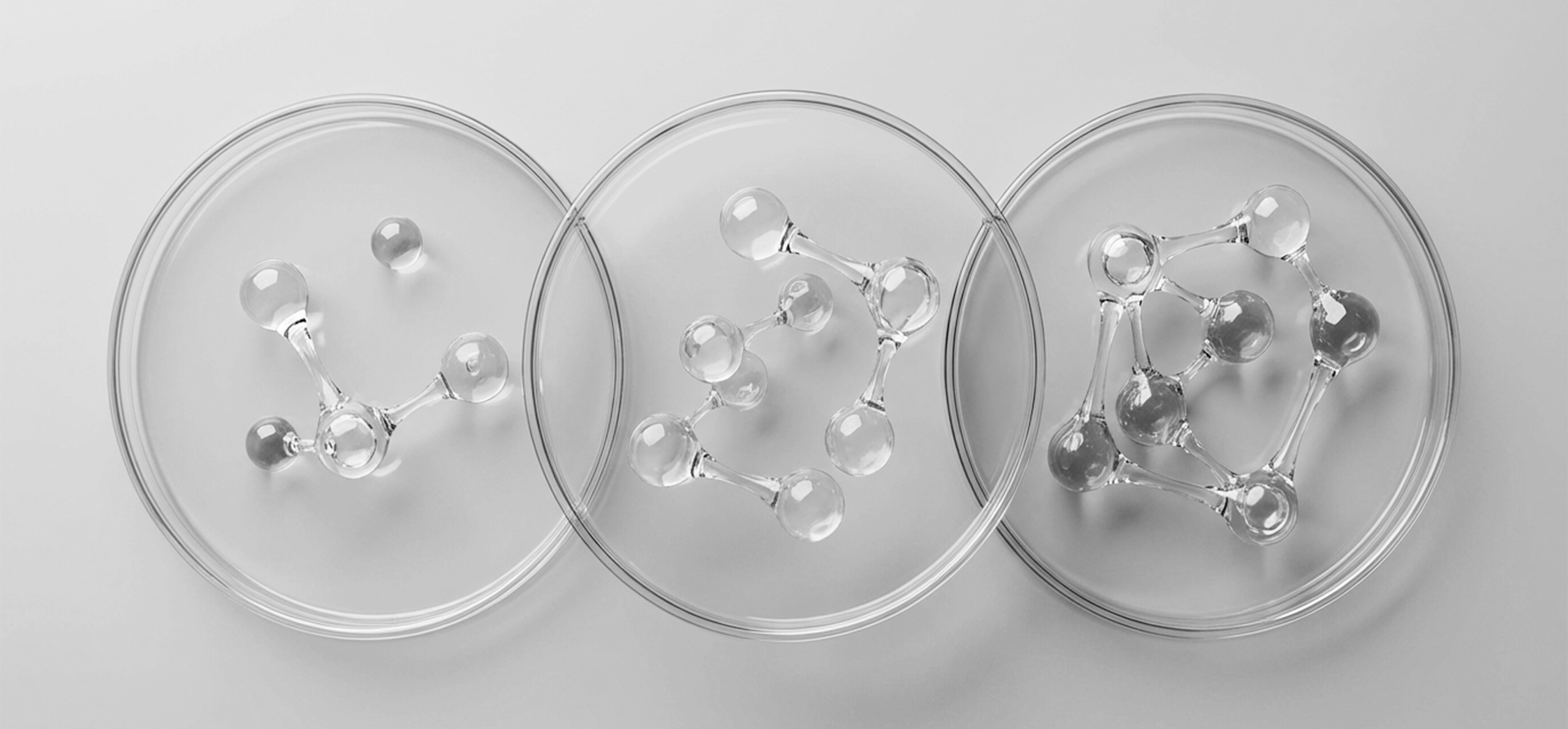 Cellular Nutrition - molécules