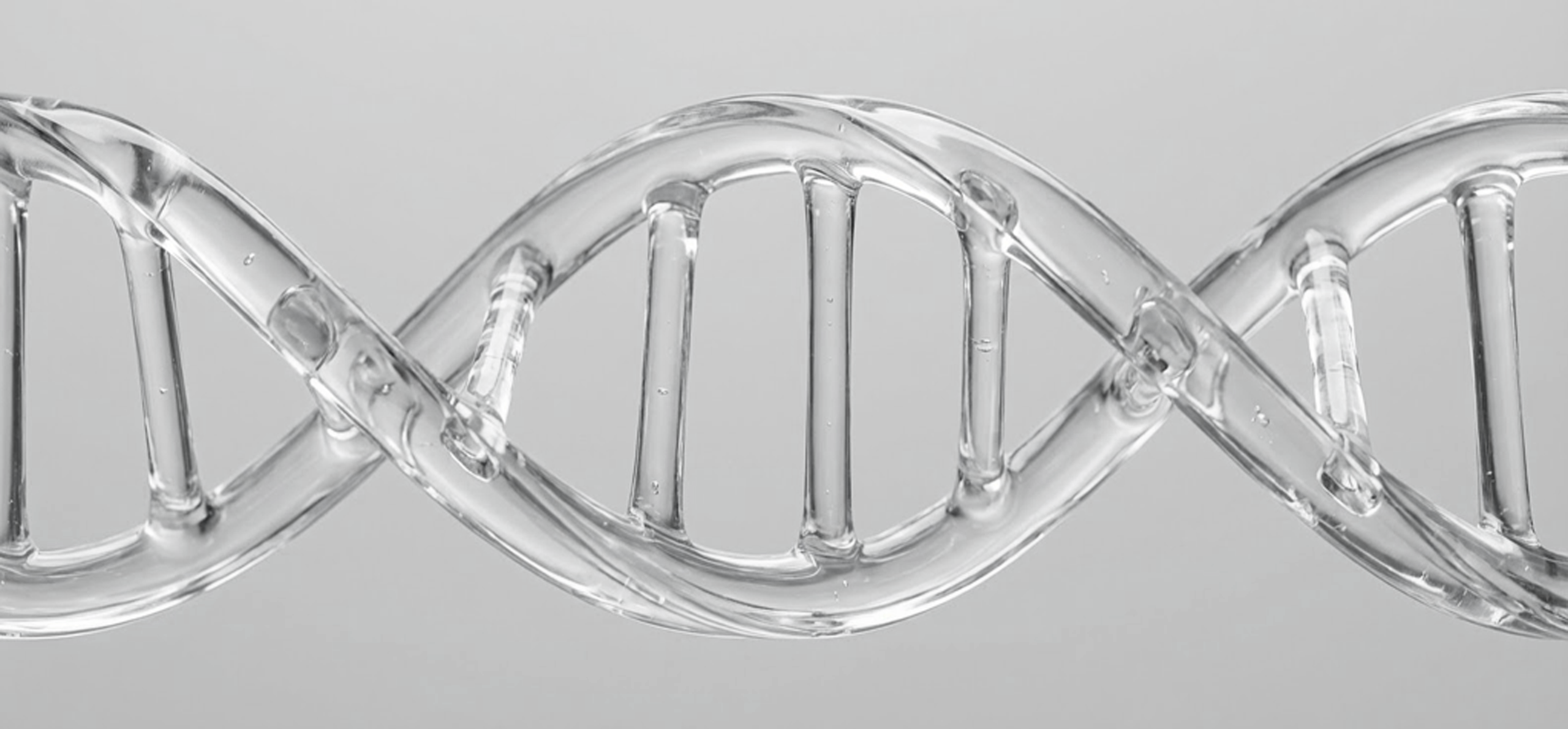 Un parcours ancré dans la science