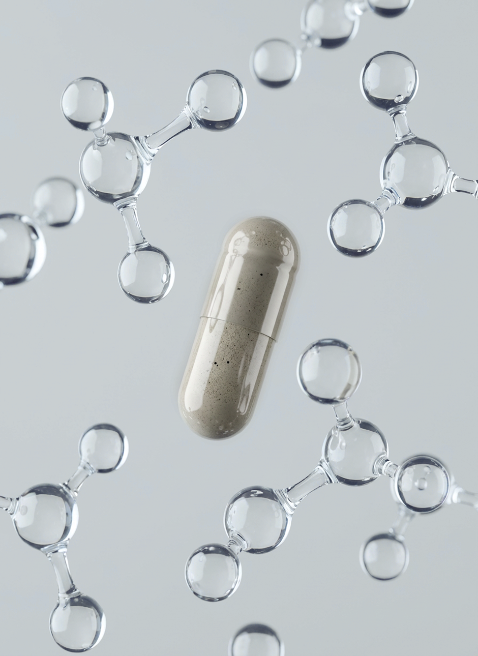 [EN] Oxidative Stress: Why Antioxidants Do Not “Repair” the Cell.