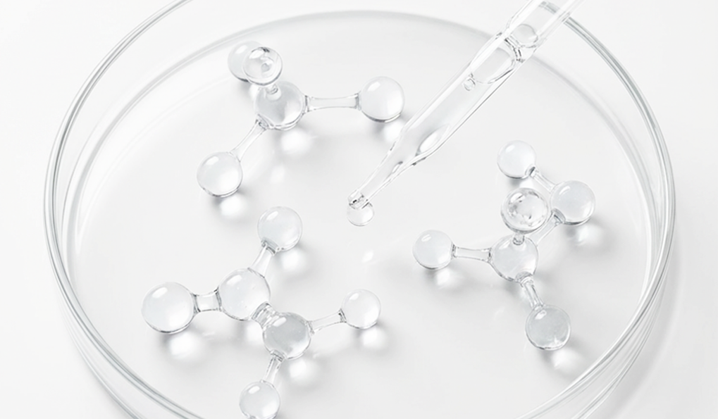 [EN] Cellular Nutrition: Evidence-Based Data, Scientific and Academic References.