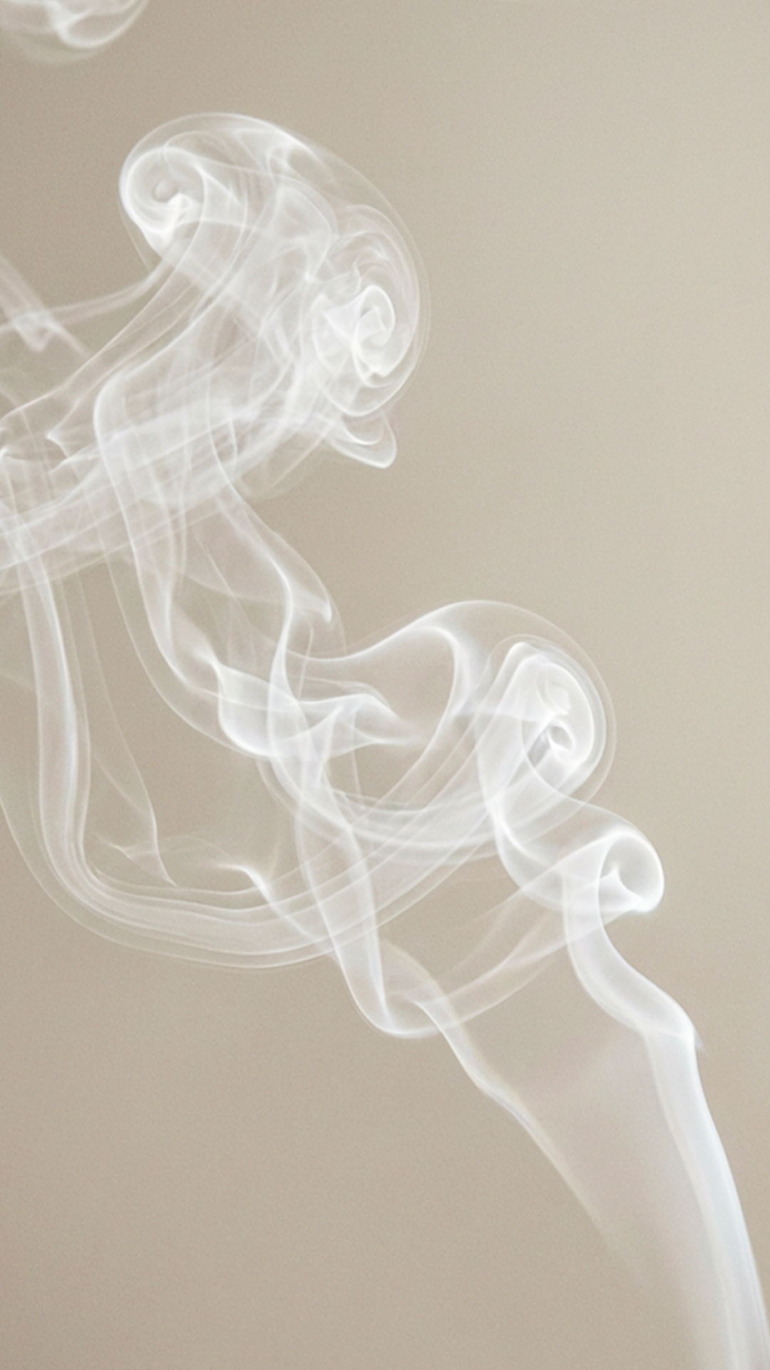 [FR] Inflammaging — Pourquoi l’inflammation chronique accélère le vieillissement biologique.