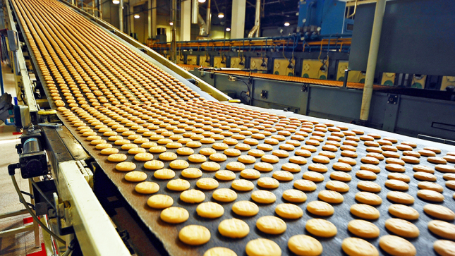 [EN] Industrial diets and ultra-processed foods — Why they disrupt cellular biology and accelerate ageing.