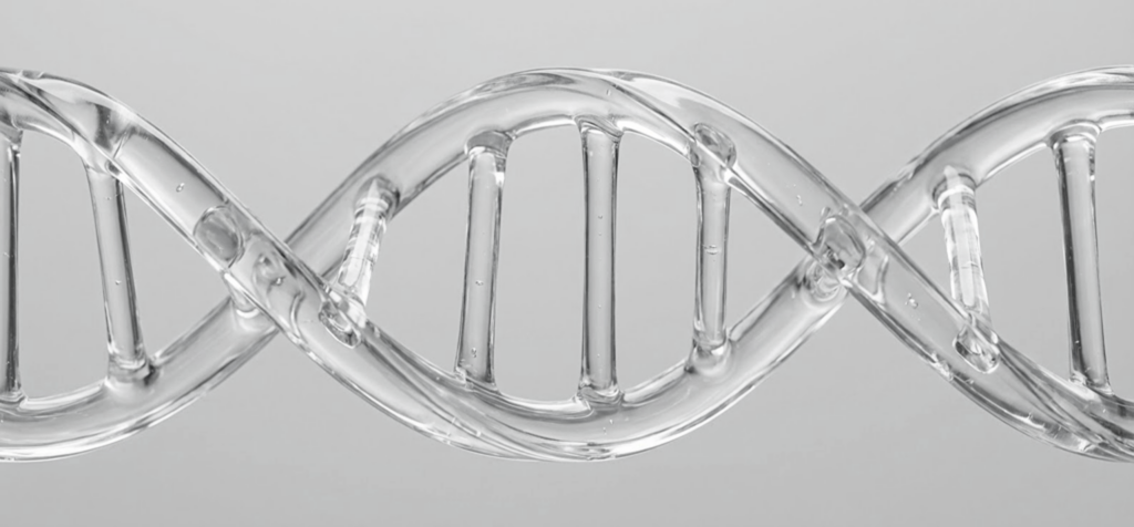 Epigenetics: The Science Redefining Longevity