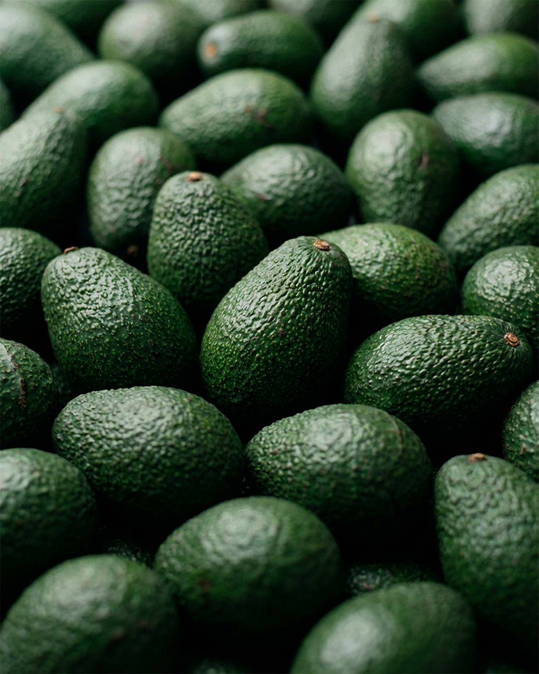 [EN] Avocado: Superfood or Calorie Bomb?