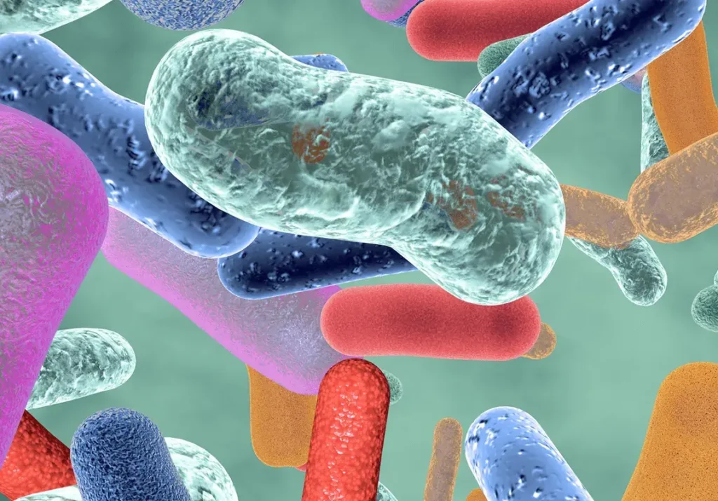 “You Are Not Human. You Are Bacterial.”