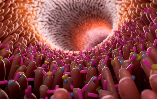 FAQ — Gut Health & Microbiome