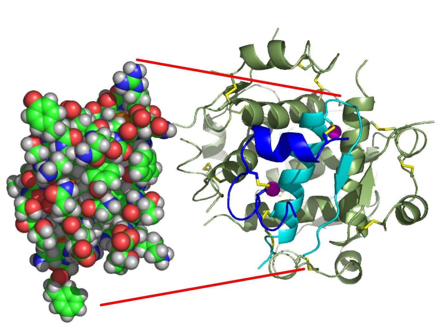 How to Improve Insulin Sensitivity