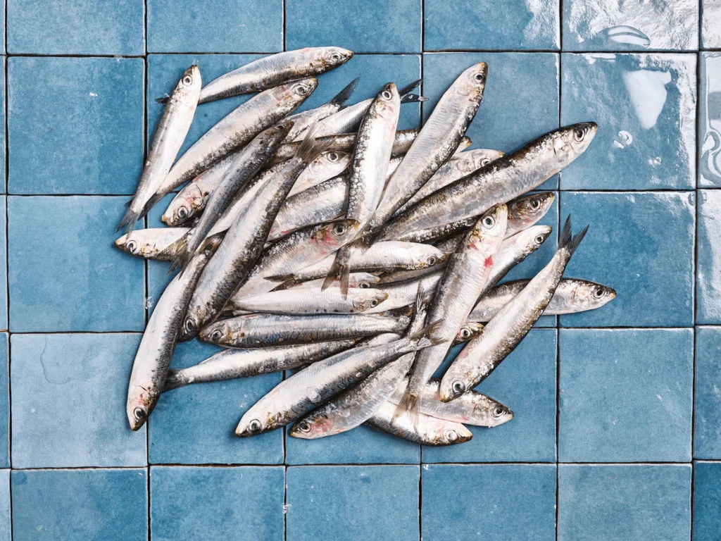 Are Sardines the Ultimate Superfood?