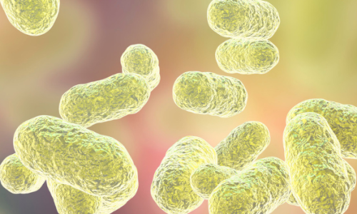 Estrobolome: The Missing Link in Estrogen Detox and Hormone Balance