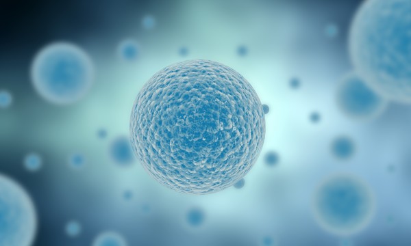 Oxidative Stress: The Key Mechanism Behind Cellular Aging — and How to Regulate It (2026)