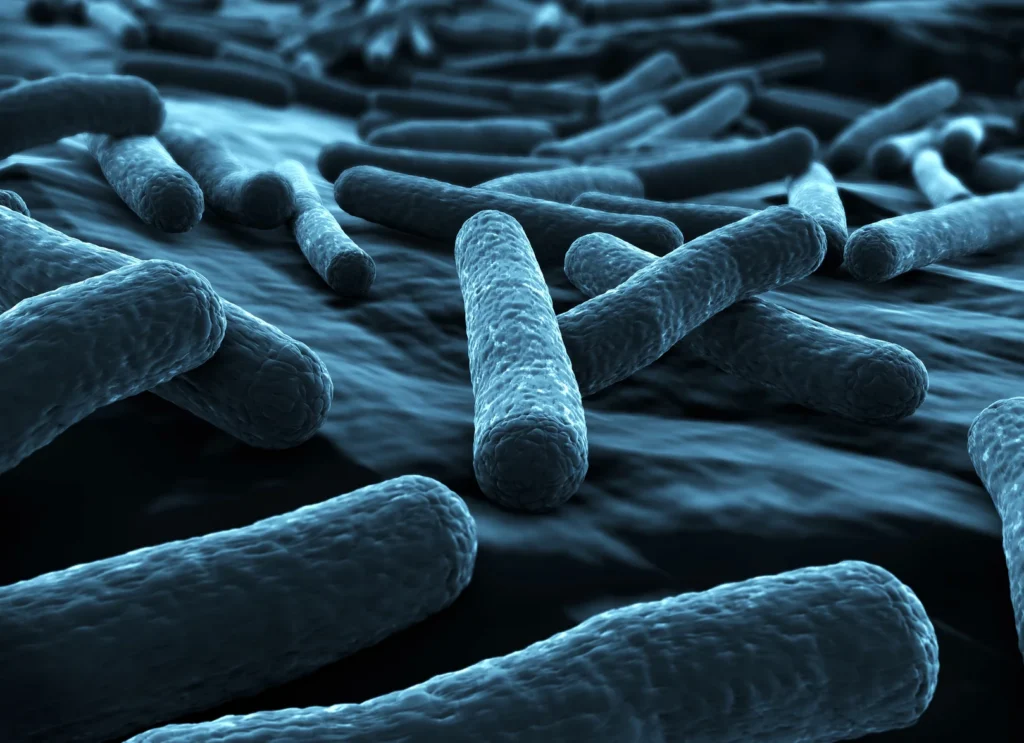 Les signes cachés d&rsquo;un microbiote déséquilibré